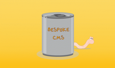 Read about Dangers of bespoke CMS