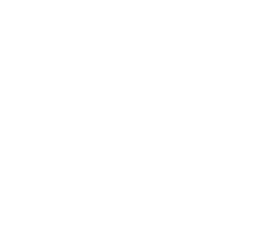Dotty House logo