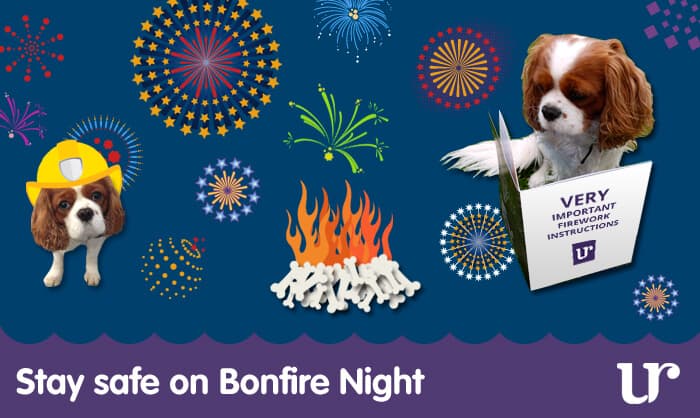 Read about Stay safe on Bonfire Night