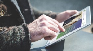 Web sales