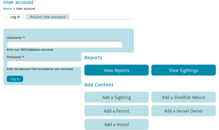 Read about Database reporting systems – what you need to know