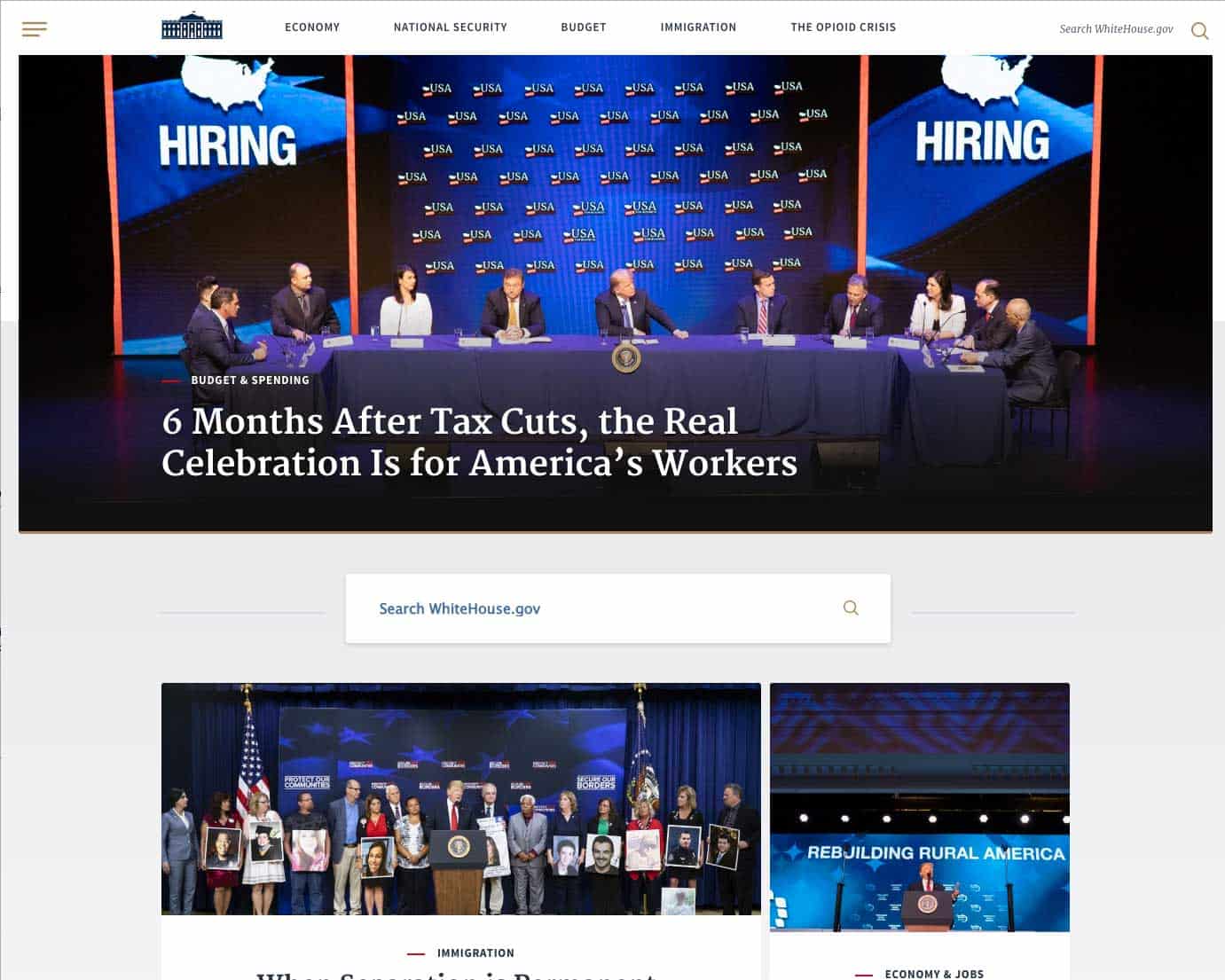 wordpress website