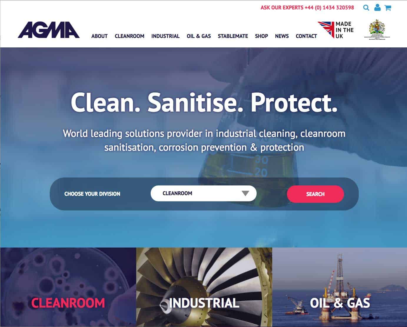 wordpress website