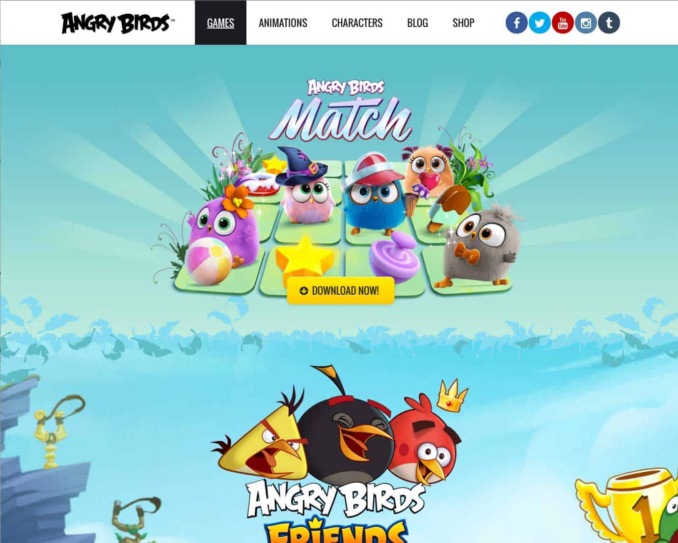 wordpress website